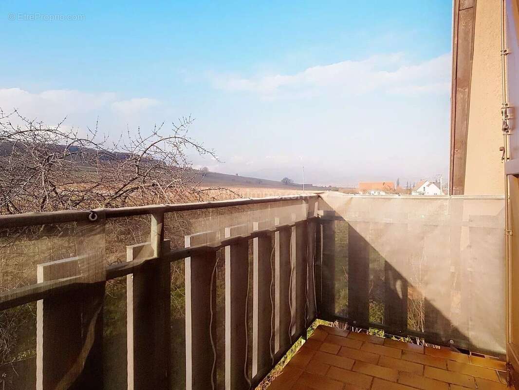 Appartement à INGERSHEIM