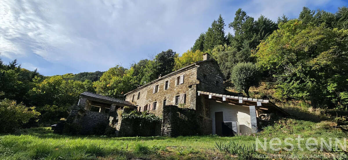 Mas en pierre avec 1,6 hectare de terrain, dépendance et source ? Havre de paix en Cévennes - photo 11