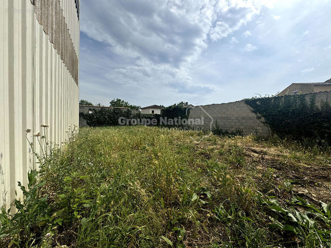 Commerce à LANSARGUES