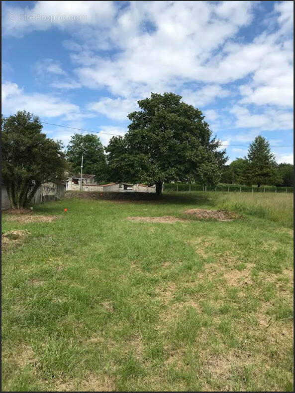 Terrain à LA COURONNE