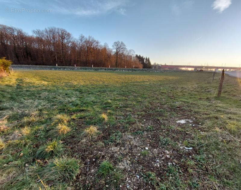 Terrain à bâtir de 3460 m2 ou  1000 m2 à 35000 euros - photo 3