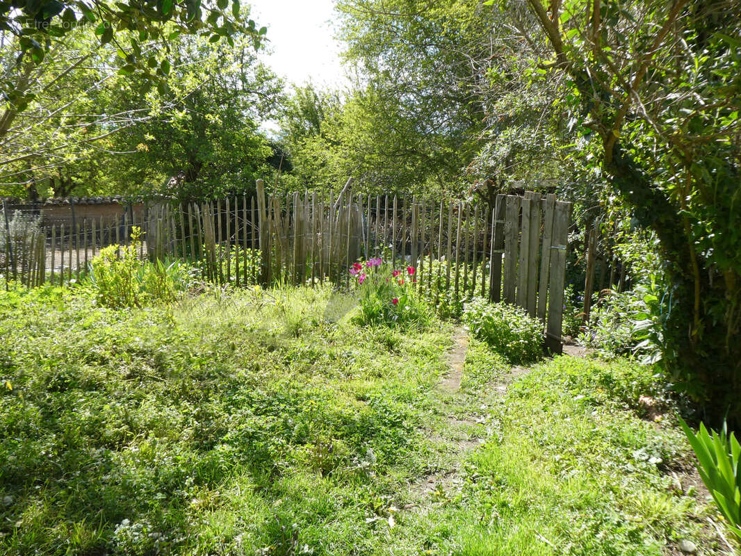 Grande maison de village avec grand jardin clos. - photo 20