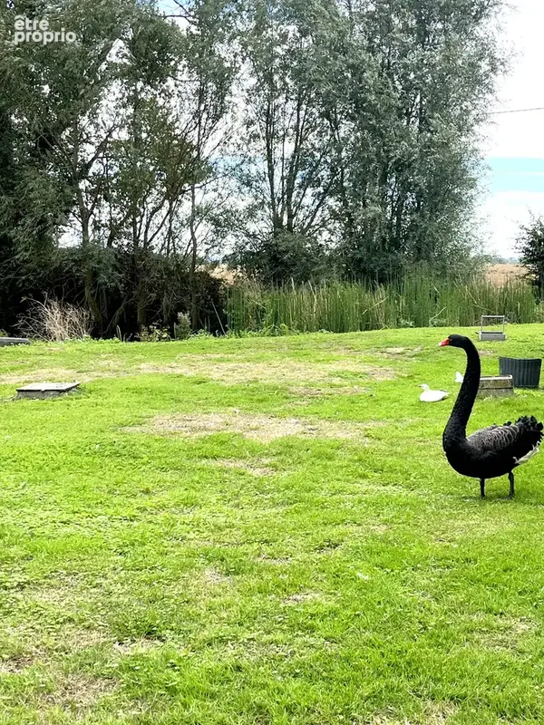 Propriété sur 5 855 m2 - Semi Plain-Pied Bambecque - photo 5