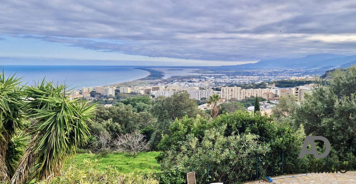 Maison à SAN-MARTINO-DI-LOTA