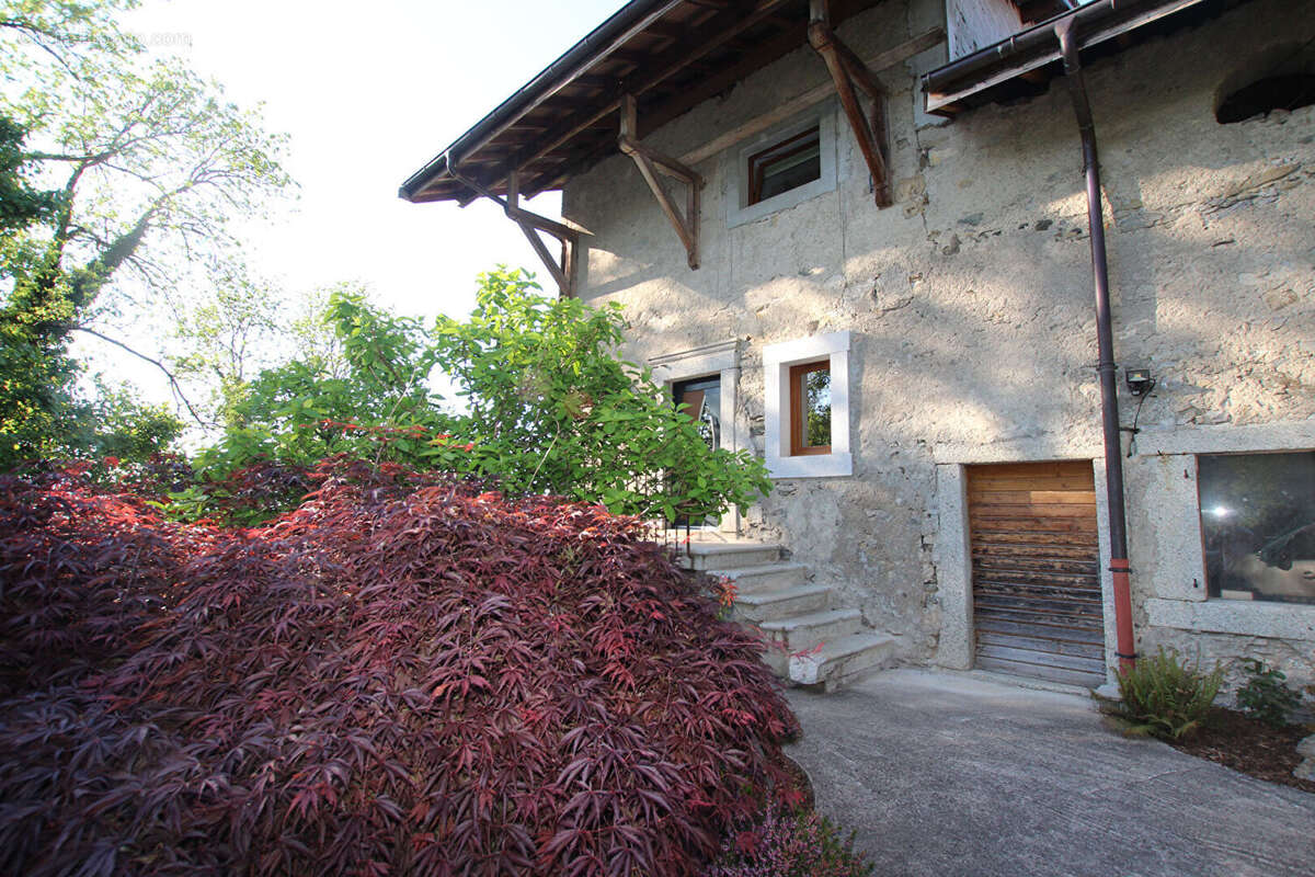 Maison à SAINT-PAUL-EN-CHABLAIS