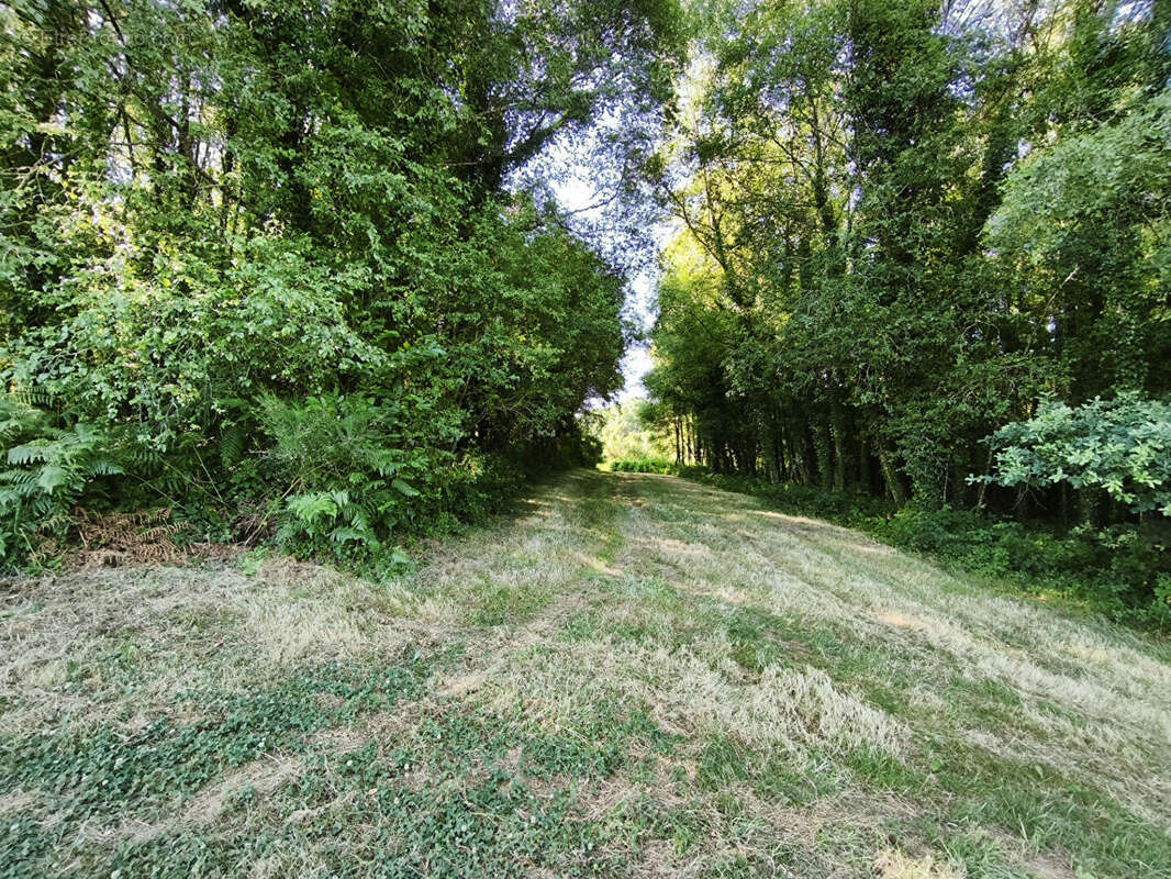 MORBIHAN, Le Croisty, manoir d'origine du XVIe siècle, partiellement rénové, sur un terrain de plus de 3 acres - photo 17