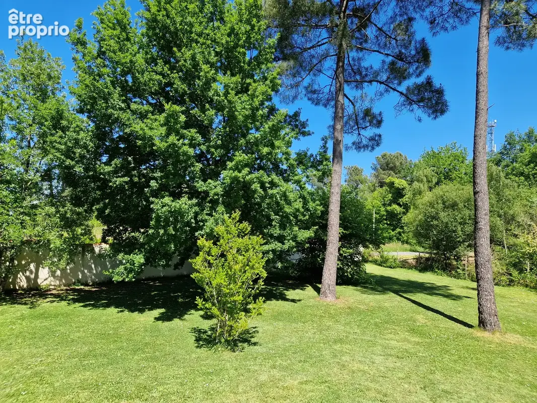 BAISSE DE PRIX   Maison plain-pied 146 M2   4 CHAMBRES   PISCINE   6 285 M2 de terrain - photo 35