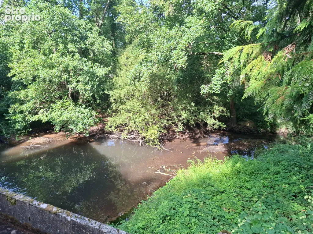 Pays de Tronçais maisonnette isolée en bord de ruisseau - photo 11