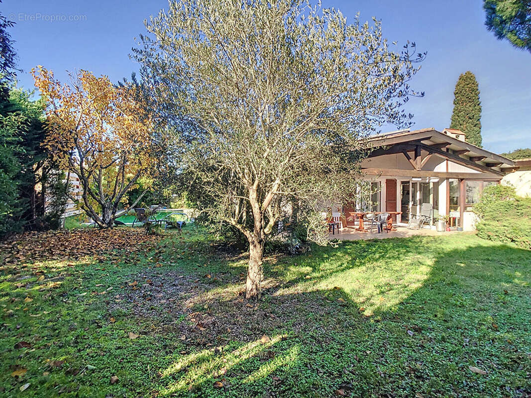 Maison à QUINT-FONSEGRIVES