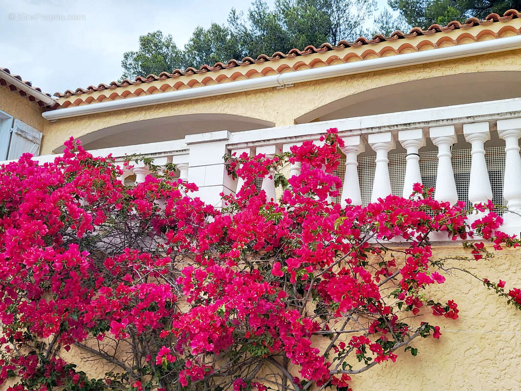 Maison à HYERES