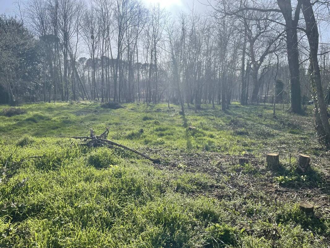 Terrain à SAINT-SELVE