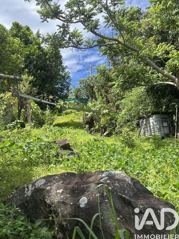 Photo 4 - Terrain à SAINT-DENIS