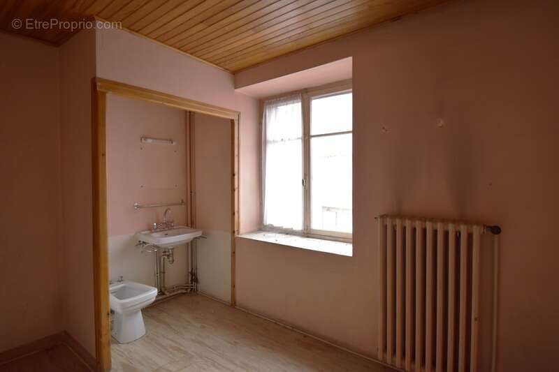 Maison à vendre 14 pièces ROCHEPAULE (07) - photo 10
