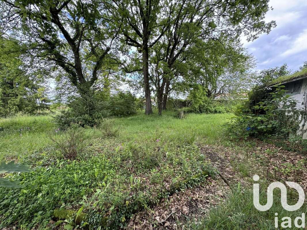 Photo 2 - Terrain à VOEUIL-ET-GIGET