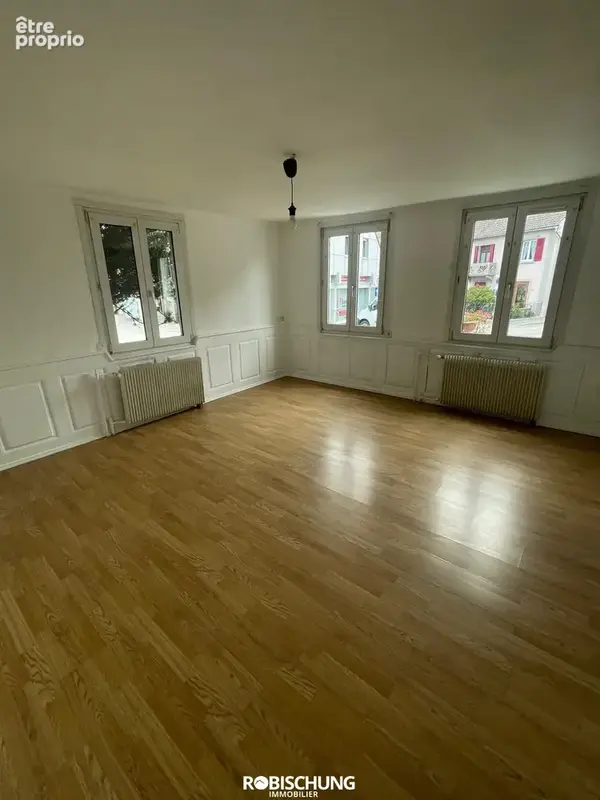 DANNEMARIE : Maison individuelle avec 2 appartements + dépendance - photo 7