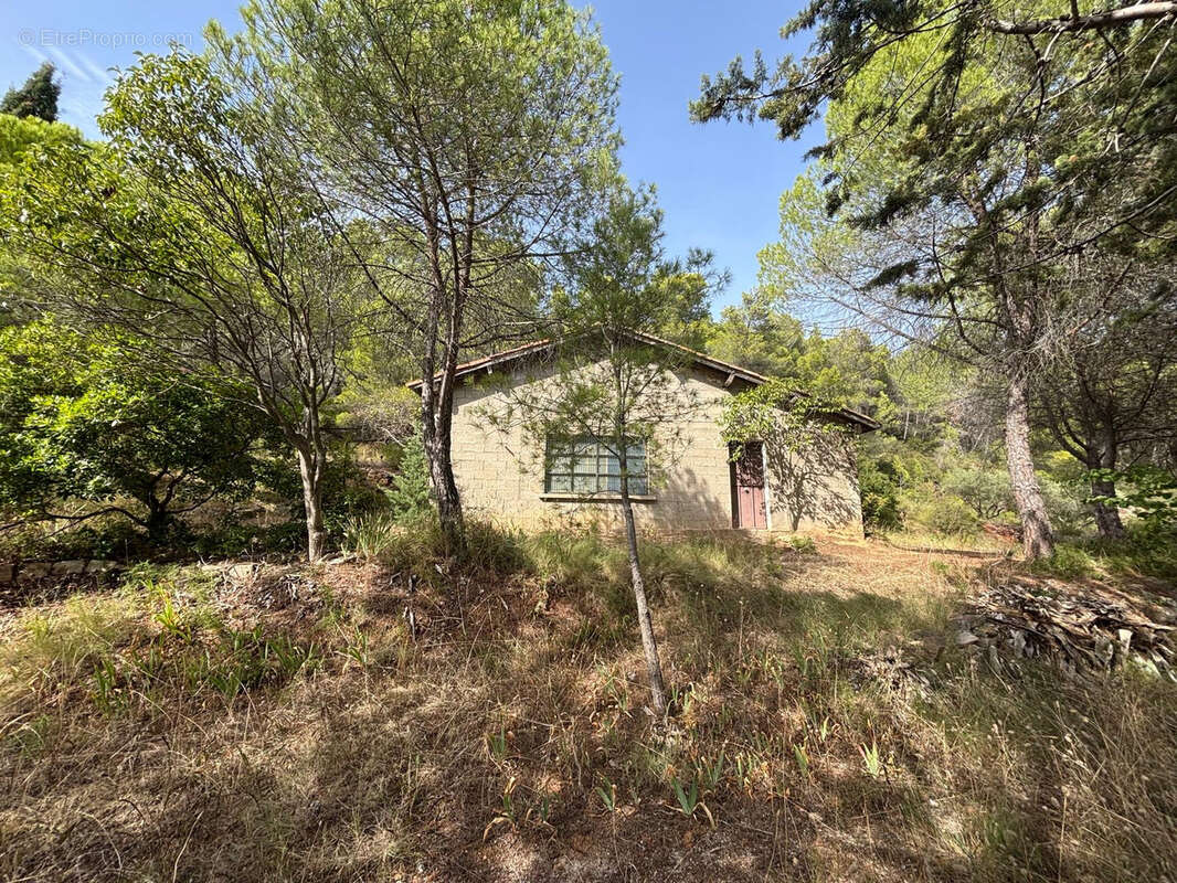 Terrain à PUISSERGUIER