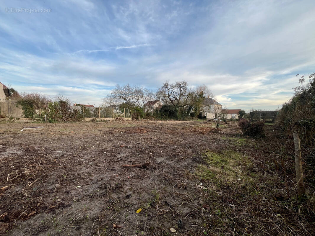 Terrain à LA CHAPELLE-SAINT-MESMIN