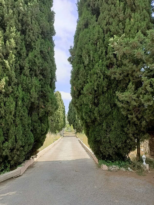 Maison à PEYMEINADE