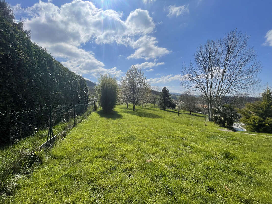 Photo 3 - Terrain à CUBLIZE