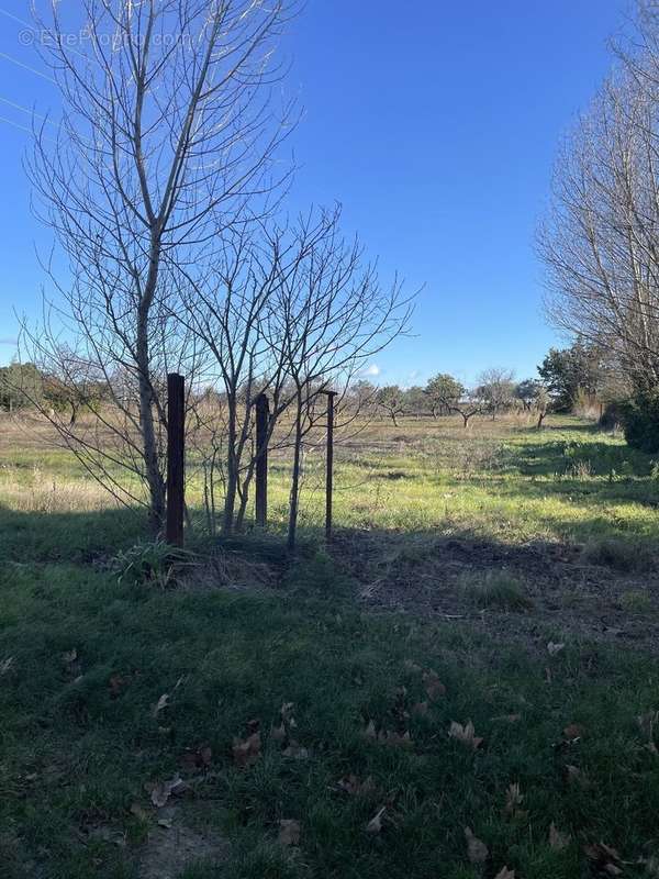 Maison à RIBAUTE-LES-TAVERNES