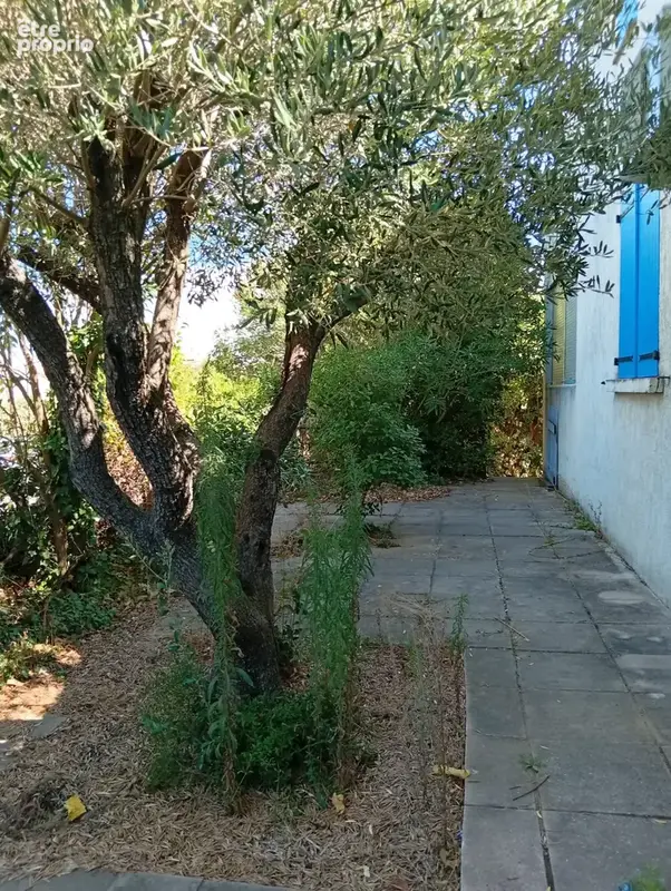 Villa 5 pièces avec 2 garages et jardin - photo 2