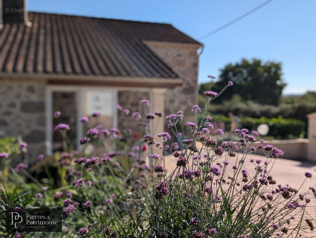 Maison à MONCRABEAU