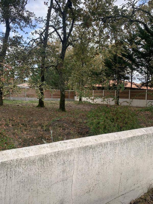 Terrain à GUJAN-MESTRAS