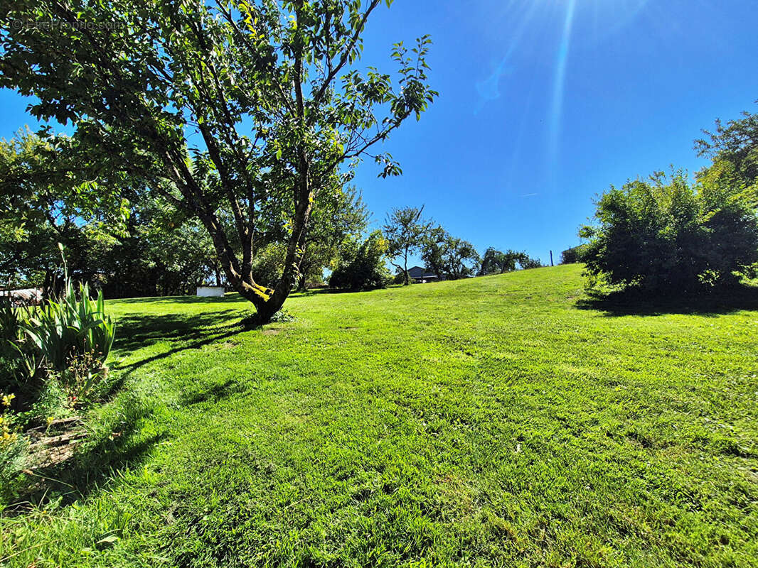 Maison à NAIVES-EN-BLOIS