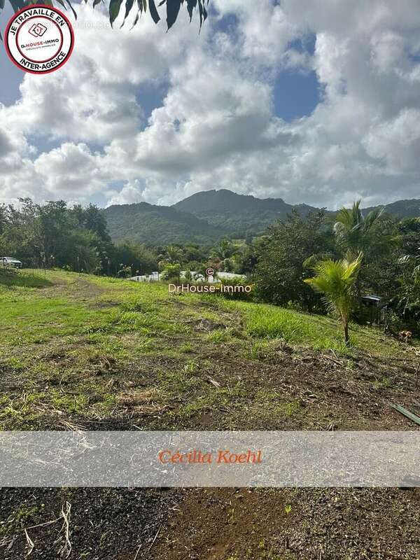 Terrain à LE FRANCOIS