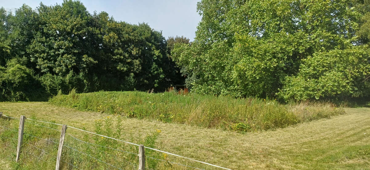 Terrain à GASNY