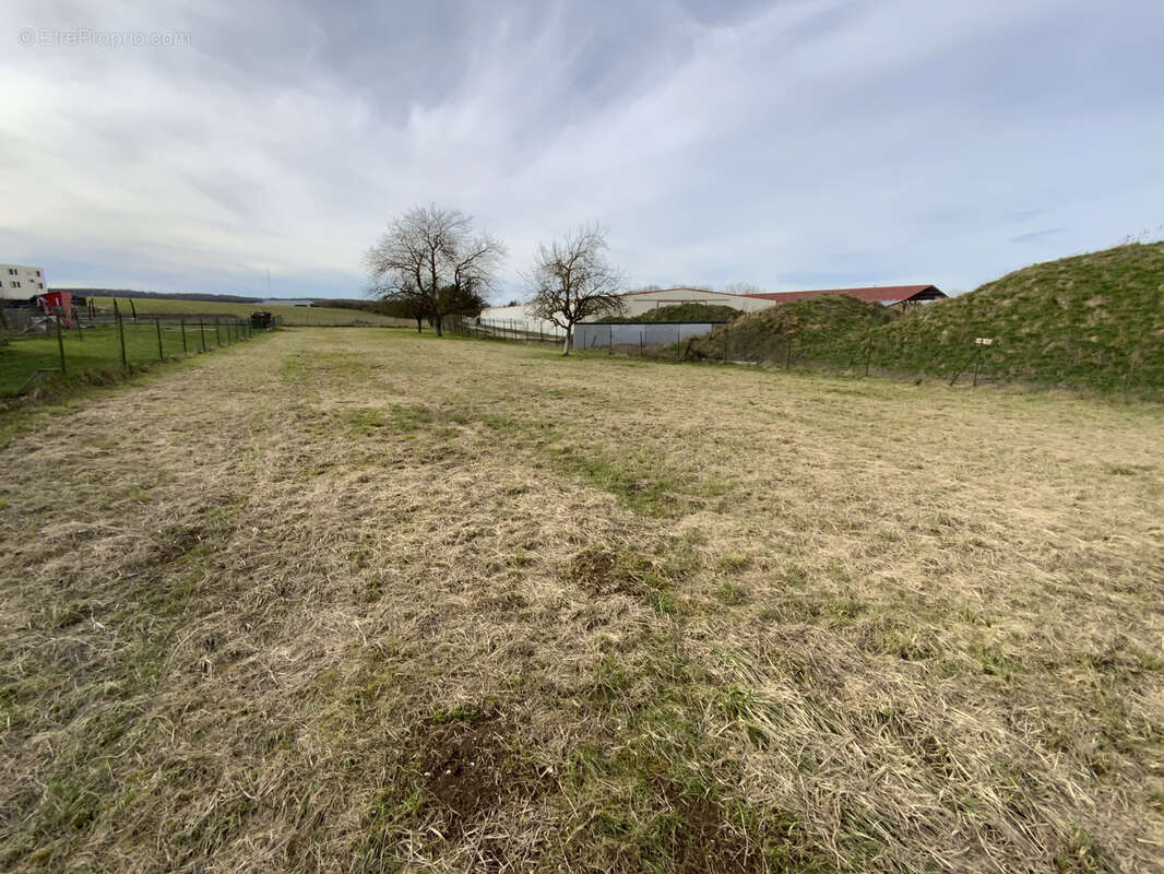 Terrain à GONDRECOURT-LE-CHATEAU