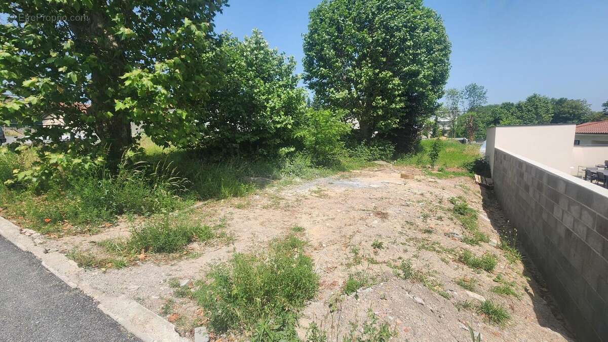 Photo 3 - Terrain à SAINT-GENEST-LERPT
