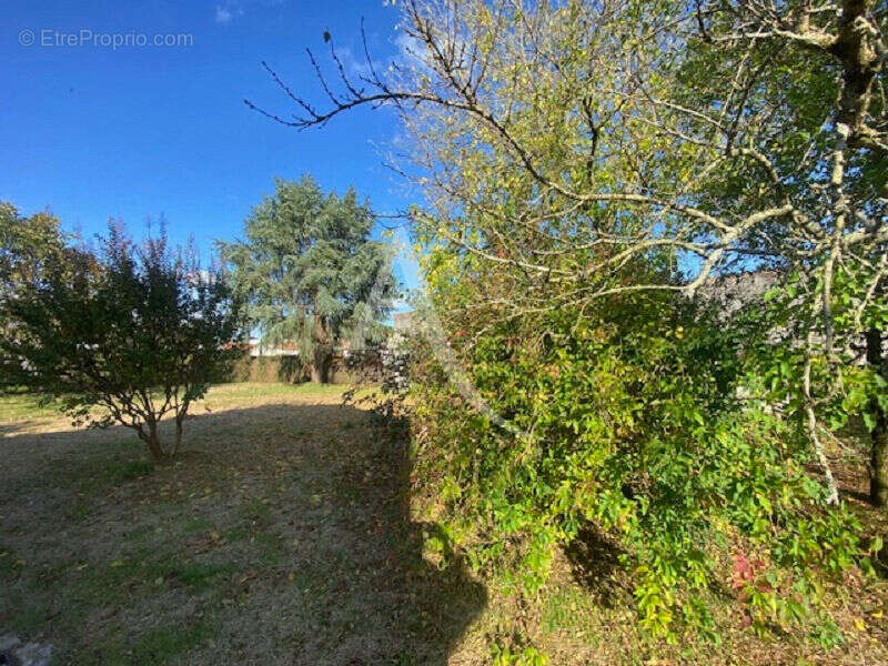 Terrain à LA ROCHE-SUR-YON