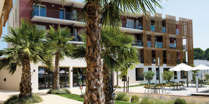 Appartement T3 + Magnifique  terrasse de 35m2 au Senioriales® de Juvignac - Disponible immédiatement - photo 2
