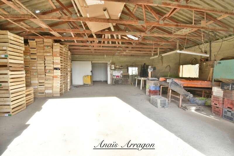 Maison à SAINT-SYLVESTRE-SUR-LOT