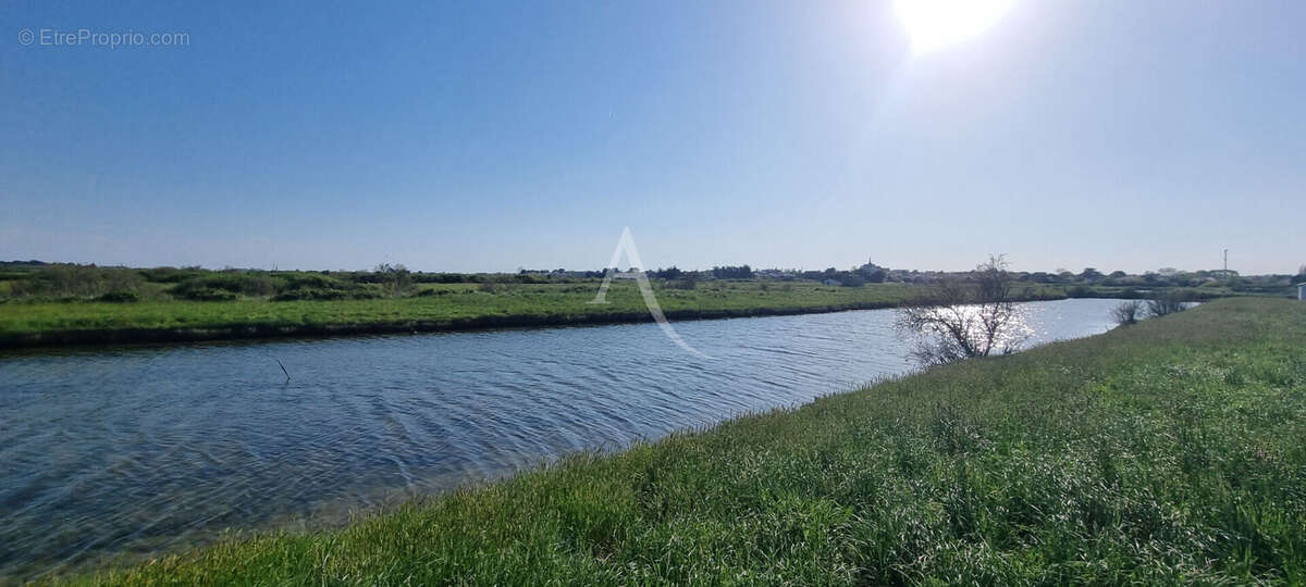 Terrain de loisir à poissons de plus de 2 hectares - photo 4