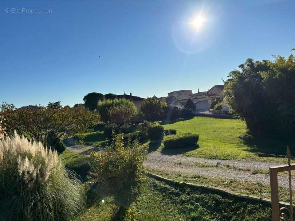 Terrain 750 m² à Donzere  - photo 4