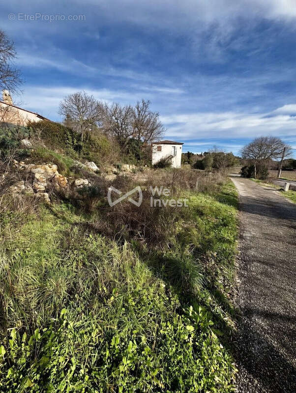 Terrain à MONTFORT-SUR-ARGENS