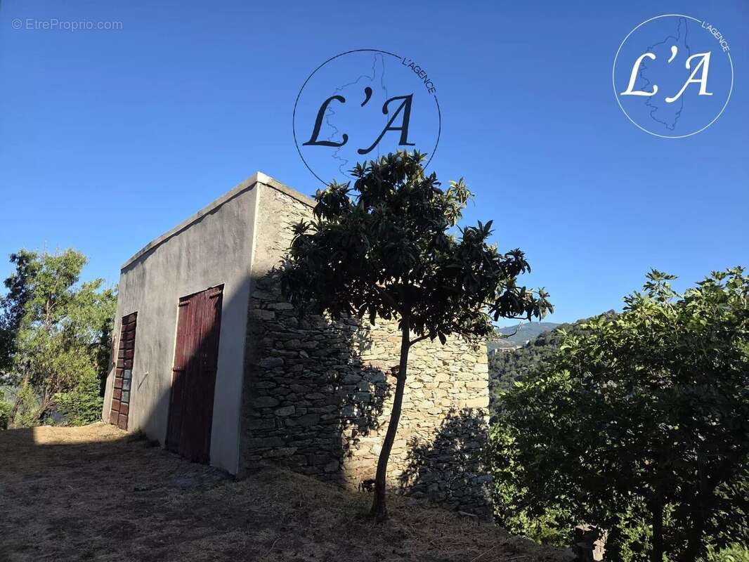 Maison à SANTO-PIETRO-DI-TENDA