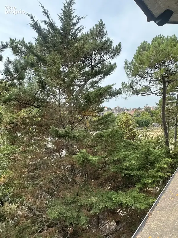 Appartement T3/4 de Standing - Secteur Triangle d'Or - Le Touquet-Paris-Plage - photo 13