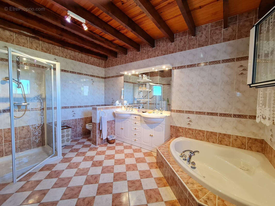 Maison familiale de 227 m2 avec piscine sur plus de 5 000 m2 de terrain   Entre Albi et Gaillac - photo 10
