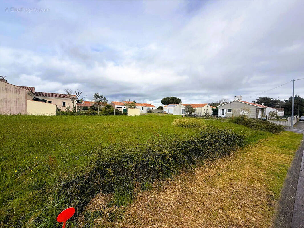 Terrain à SAINT-HILAIRE-DE-RIEZ