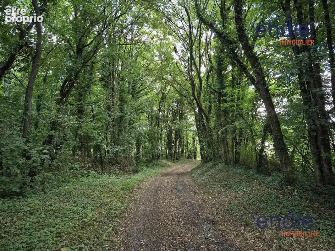 Maison 9 pièces 320 m² à vendre à Germigny-L'exempt (18150) - photo 2