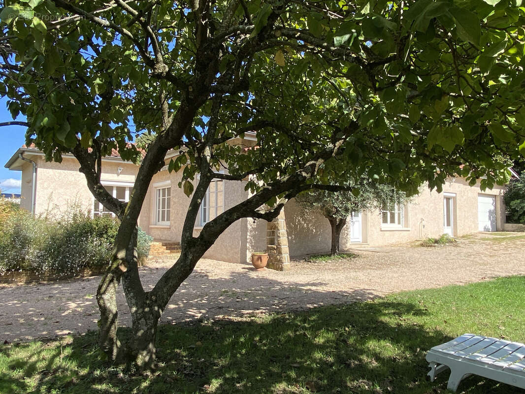 CIVRIEUX D'AZERGUES   Spacieuse Maison de plain-pied entièrement rénovée - photo 20