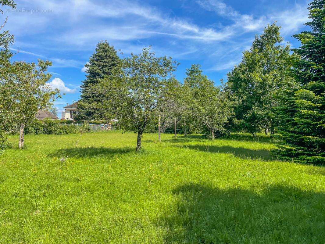 Terrain à VILLEFRANCHE-SUR-CHER