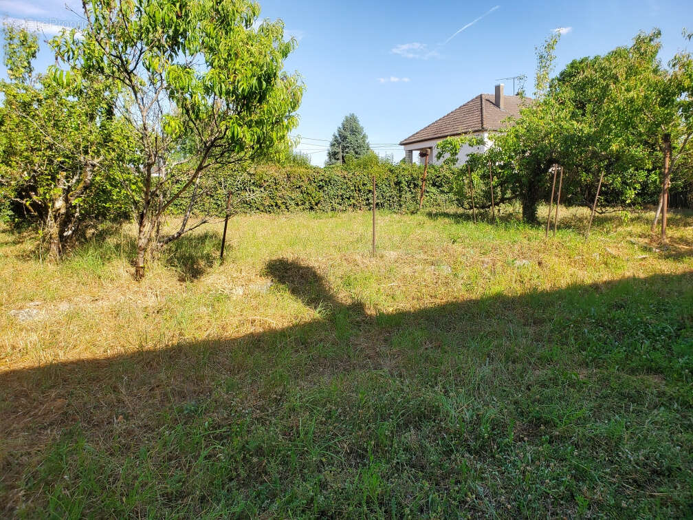 Maison à CERCY-LA-TOUR