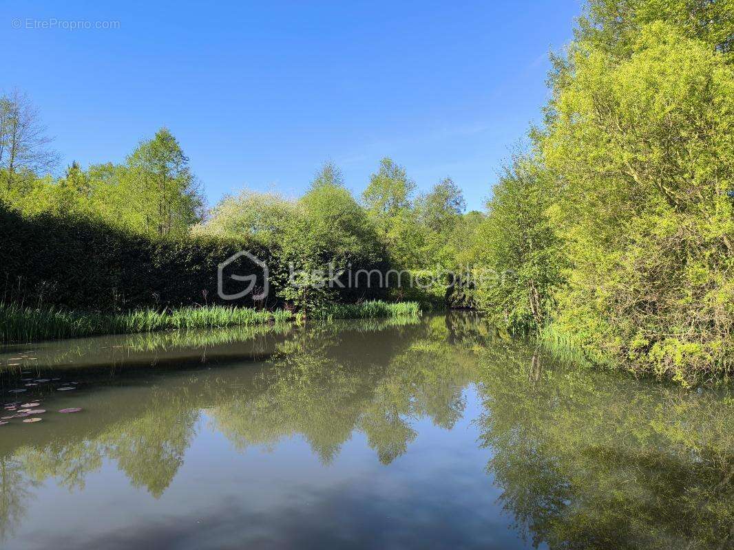 Coin idyllique : maison avec un étang - photo 8