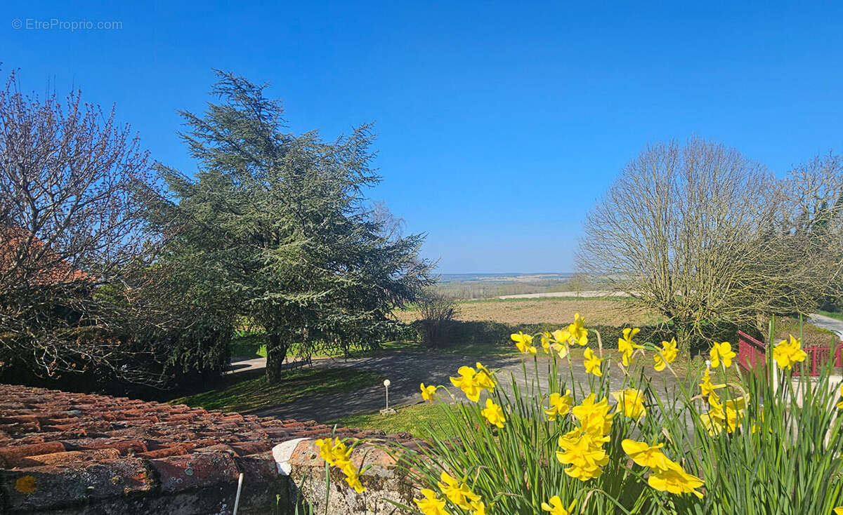 Maison à RILLY-SUR-VIENNE