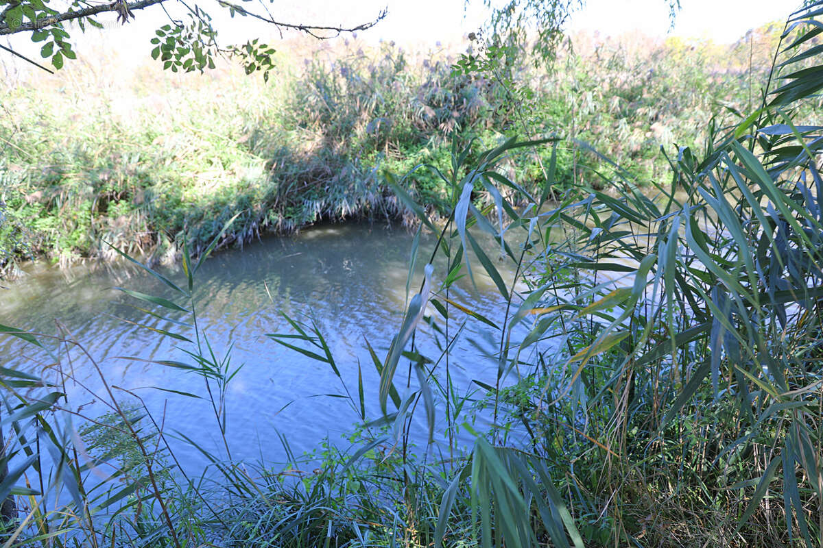 Terrain à SAINT-GEORGES-DE-DIDONNE