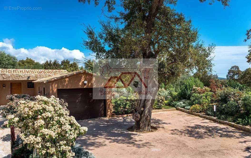 Maison à PORTO-VECCHIO